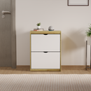 beAAtho® Zento Shoe Cabinet with Tilt-Out Drawers | 2 DOOR | Modern Wooden Shoe Organizer for Home & Office | Durable & Elegant | DIY |