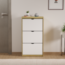 beAAtho® Zento Shoe Cabinet with Tilt-Out Drawers | 3 DOOR | Modern Wooden Shoe Organizer for Home & Office | Durable & Elegant | DIY |