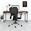 Blaze | 3-Year Warranty | Mesh Nylon Chair for Office and Home