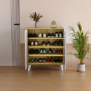 beAAtho Brisk 2-Door Engineered Wood Multipurpose Storage Rack, Anti-Termite Treated Shoe, Book & Utility Organizer- DIY