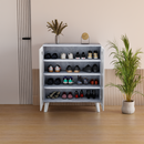 beAAtho Brisk 2-Door Engineered Wood Multipurpose Storage Rack, Anti-Termite Treated Shoe, Book & Utility Organizer- DIY