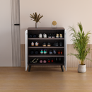 beAAtho Brisk 2-Door Engineered Wood Multipurpose Storage Rack, Anti-Termite Treated Shoe, Book & Utility Organizer- DIY