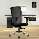 Apollo Mesh Mid Back | 3-Year Warranty | Revolving Office Chair