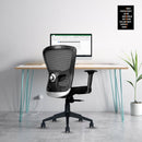 AMAZE | 3-Year Warranty | Mesh Nylon Chair for Office and Home
