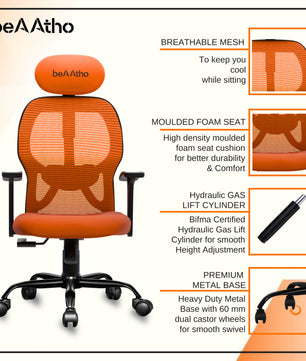Leo Ergonomically Adjustable Executive High Back Mesh Home & Office Revolving Chair with 3 Years Warranty
