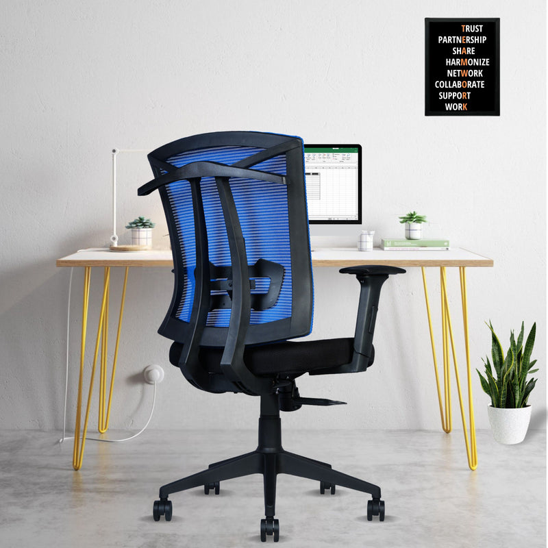 Irish Mesh Mid Back 3-Year Warranty Ergonomic Office Chair with Adjustable 3D Arms, 2D Lumbar Support Coat Hanger