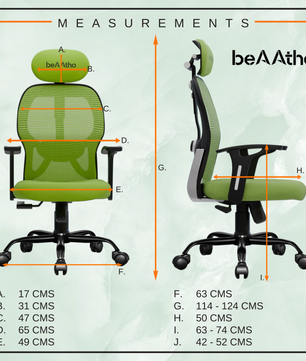 Leo Ergonomically Adjustable Executive High Back Mesh Home & Office Revolving Chair with 3 Years Warranty