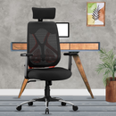 Dusk Ergonomic High Back Mesh Office Chair | Adjustable Lumbar Support, Adjustable Armrests,| Home Office Desk Chair, 3 Years Warranty