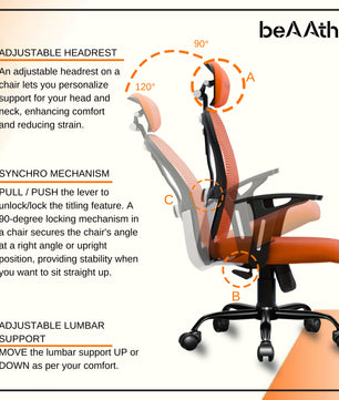 Leo Ergonomically Adjustable Executive High Back Mesh Home & Office Revolving Chair with 3 Years Warranty