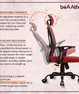 Leo Ergonomically Adjustable Executive High Back Mesh Home & Office Revolving Chair with 3 Years Warranty