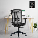 Irish Mesh Mid Back | 3-Year Warranty | Ergonomic Office Chair with Adjustable 3D Arms, 2D Lumbar Support & Coat Hanger