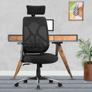 Dusk Ergonomic High Back Mesh Office Chair | Adjustable Lumbar Support, Adjustable Armrests,| Home Office Desk Chair, 3 Years Warranty