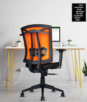 Irish Mesh Mid Back | 3-Year Warranty | Ergonomic Office Chair with Adjustable 3D Arms, 2D Lumbar Support & Coat Hanger