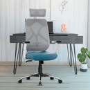 Dusk Ergonomic High Back Mesh Office Chair | Adjustable Lumbar Support, Adjustable Armrests,| Home Office Desk Chair, 3 Years Warranty