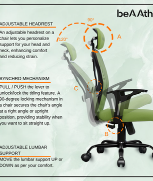 Leo Ergonomically Adjustable Executive High Back Mesh Home & Office Revolving Chair with 3 Years Warranty