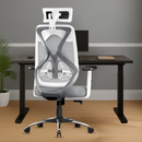 Dusk Ergonomic High Back Mesh Office Chair | Adjustable Lumbar Support, Adjustable Armrests,| Home Office Desk Chair, 3 Years Warranty