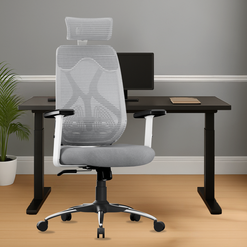 Dusk Ergonomic High Back Mesh Office Chair | Adjustable Lumbar Support, Adjustable Armrests,| Home Office Desk Chair, 3 Years Warranty