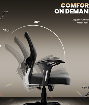 Leo Ergonomically Adjustable Executive High Back Mesh Home & Office Revolving Chair with 3 Years Warranty