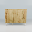 beAAtho Brisk 3-Door Engineered Wood Multipurpose Storage Rack, Anti-Termite Treated Shoe, Book & Utility Organizer- DIY