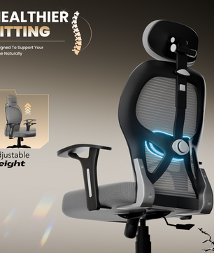 Leo Ergonomically Adjustable Executive High Back Mesh Home & Office Revolving Chair with 3 Years Warranty