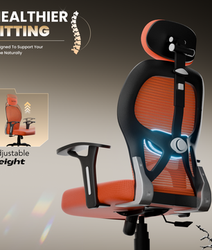 Leo Ergonomically Adjustable Executive High Back Mesh Home & Office Revolving Chair with 3 Years Warranty