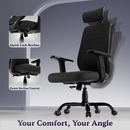 Dusk Ergonomic High Back Mesh Office Chair | Adjustable Lumbar Support, Adjustable Armrests,| Home Office Desk Chair, 3 Years Warranty