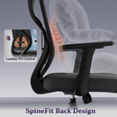 Dusk Ergonomic High Back Mesh Office Chair | Adjustable Lumbar Support, Adjustable Armrests,| Home Office Desk Chair, 3 Years Warranty