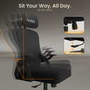 FurniVo Spark Ergonomic High Back Office Chair with 3D Adjustable Armrest, Adjustable Headrest, Lumbar Support, Revolving Mesh Chair - Home & Office