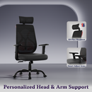 Dusk Ergonomic High Back Mesh Office Chair | Adjustable Lumbar Support, Adjustable Armrests,| Home Office Desk Chair, 3 Years Warranty