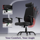 Dusk Ergonomic High Back Mesh Office Chair | Adjustable Lumbar Support, Adjustable Armrests,| Home Office Desk Chair, 3 Years Warranty
