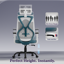 Dusk Ergonomic High Back Mesh Office Chair | Adjustable Lumbar Support, Adjustable Armrests,| Home Office Desk Chair, 3 Years Warranty