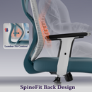 Dusk Ergonomic High Back Mesh Office Chair | Adjustable Lumbar Support, Adjustable Armrests,| Home Office Desk Chair, 3 Years Warranty