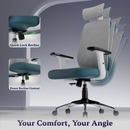 Dusk Ergonomic High Back Mesh Office Chair | Adjustable Lumbar Support, Adjustable Armrests,| Home Office Desk Chair, 3 Years Warranty
