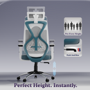 Dusk Ergonomic High Back Mesh Office Chair | Adjustable Lumbar Support, Adjustable Armrests,| Home Office Desk Chair, 3 Years Warranty