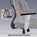 Dusk Ergonomic High Back Mesh Office Chair | Adjustable Lumbar Support, Adjustable Armrests,| Home Office Desk Chair, 3 Years Warranty