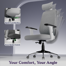 Dusk Ergonomic High Back Mesh Office Chair | Adjustable Lumbar Support, Adjustable Armrests,| Home Office Desk Chair, 3 Years Warranty