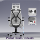 Dusk Ergonomic High Back Mesh Office Chair | Adjustable Lumbar Support, Adjustable Armrests,| Home Office Desk Chair, 3 Years Warranty