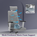 Dusk Ergonomic High Back Mesh Office Chair | Adjustable Lumbar Support, Adjustable Armrests,| Home Office Desk Chair, 3 Years Warranty