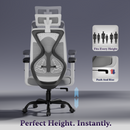 Dusk Ergonomic High Back Mesh Office Chair | Adjustable Lumbar Support, Adjustable Armrests,| Home Office Desk Chair, 3 Years Warranty