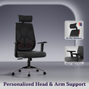 Dusk Ergonomic High Back Mesh Office Chair | Adjustable Lumbar Support, Adjustable Armrests,| Home Office Desk Chair, 3 Years Warranty