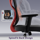 Dusk Ergonomic High Back Mesh Office Chair | Adjustable Lumbar Support, Adjustable Armrests,| Home Office Desk Chair, 3 Years Warranty