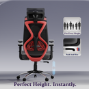 Dusk Ergonomic High Back Mesh Office Chair | Adjustable Lumbar Support, Adjustable Armrests,| Home Office Desk Chair, 3 Years Warranty