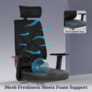 Dusk Ergonomic High Back Mesh Office Chair | Adjustable Lumbar Support, Adjustable Armrests,| Home Office Desk Chair, 3 Years Warranty