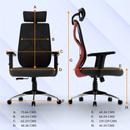 Dusk Ergonomic High Back Mesh Office Chair | Adjustable Lumbar Support, Adjustable Armrests,| Home Office Desk Chair, 3 Years Warranty