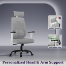 Dusk Ergonomic High Back Mesh Office Chair | Adjustable Lumbar Support, Adjustable Armrests,| Home Office Desk Chair, 3 Years Warranty