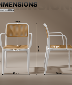 beAAtho Bloom Designer Chair for Dining, Living Room, Bedroom, Cafeteria, Cafe, Restaurant & Hotel | Modern Accent Chair | Ergonomic Comfort | Indoor & Outdoor Use | 3-Year Warranty |