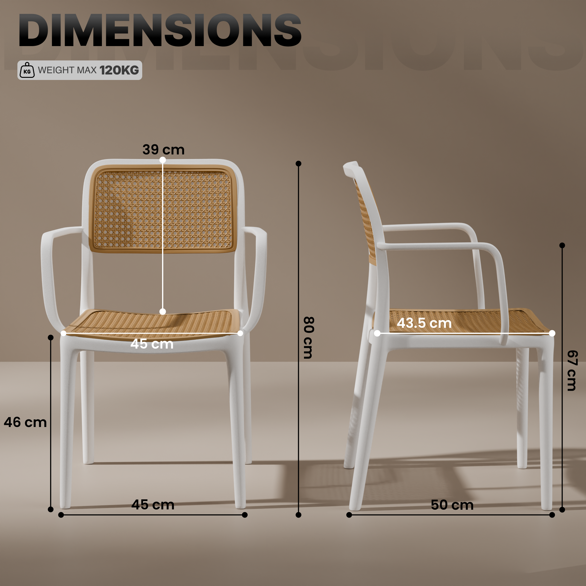 beAAtho Bloom Designer Chair for Dining, Living Room, Bedroom, Cafeteria, Cafe, Restaurant & Hotel | Modern Accent Chair | Ergonomic Comfort | Indoor & Outdoor Use | 3-Year Warranty |