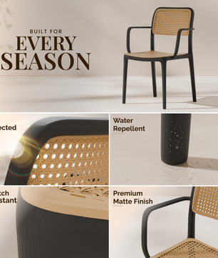 beAAtho Bloom Designer Chair for Dining, Living Room, Bedroom, Cafeteria, Cafe, Restaurant & Hotel | Modern Accent Chair | Ergonomic Comfort | Indoor & Outdoor Use | 3-Year Warranty |