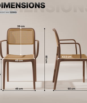 beAAtho Bloom Designer Chair for Dining, Living Room, Bedroom, Cafeteria, Cafe, Restaurant & Hotel | Modern Accent Chair | Ergonomic Comfort | Indoor & Outdoor Use | 3-Year Warranty |