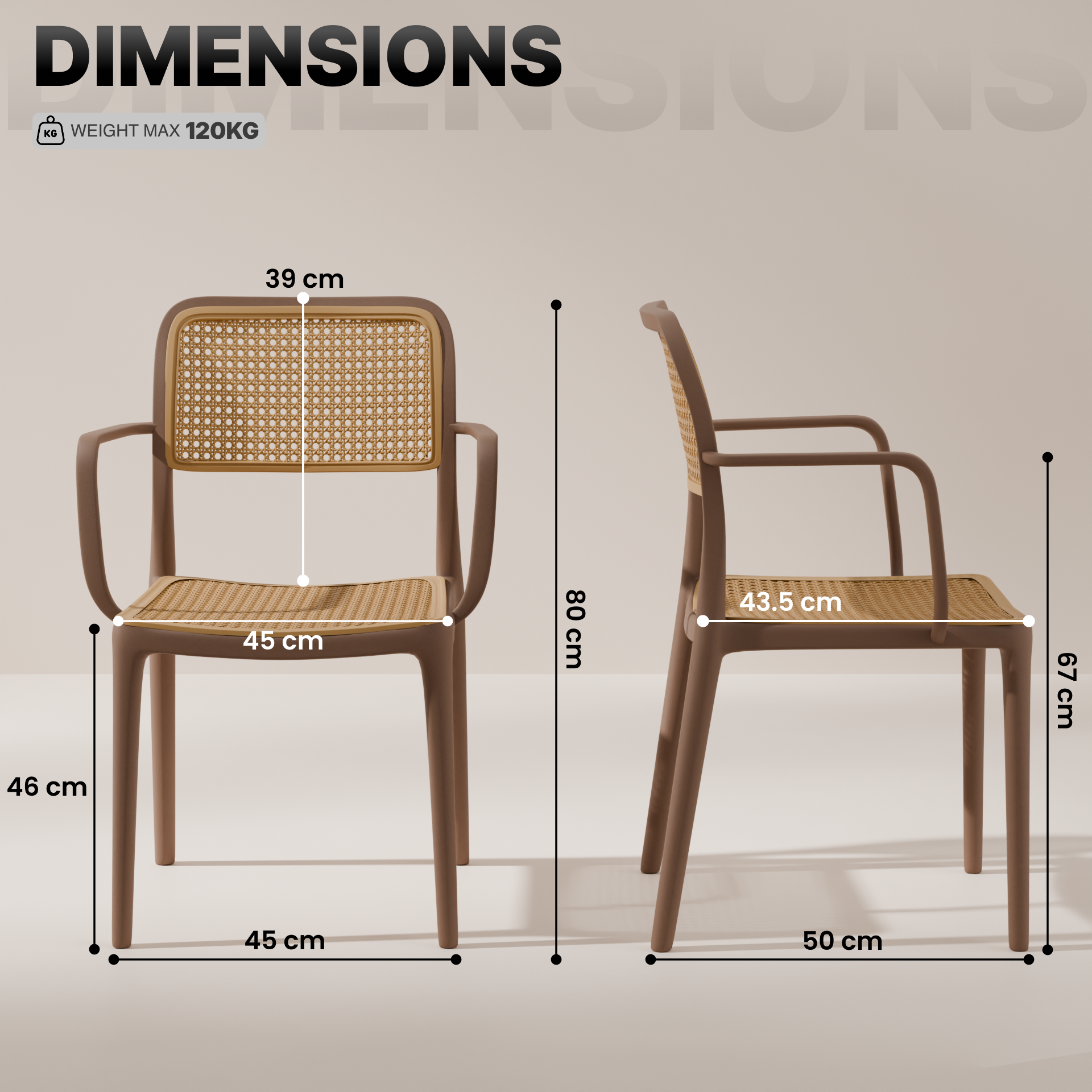 beAAtho Bloom Designer Chair for Dining, Living Room, Bedroom, Cafeteria, Cafe, Restaurant & Hotel | Modern Accent Chair | Ergonomic Comfort | Indoor & Outdoor Use | 3-Year Warranty |